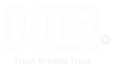 MY Tech Bridge